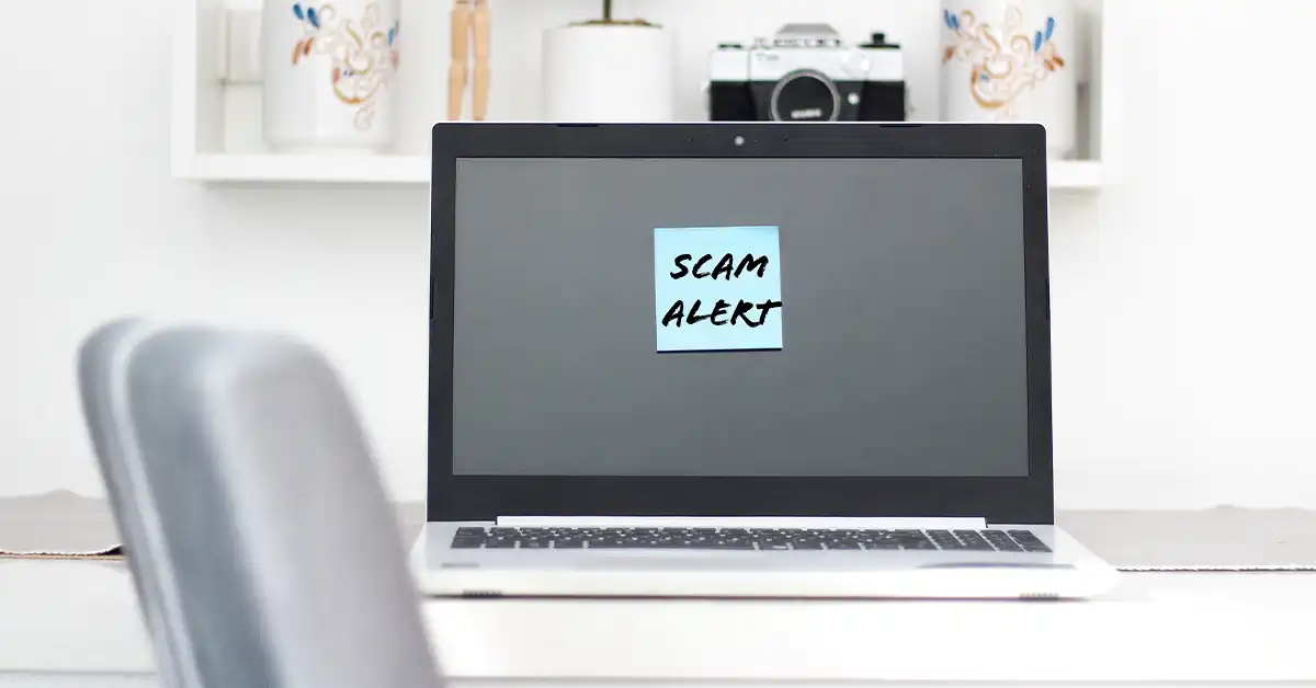 scam